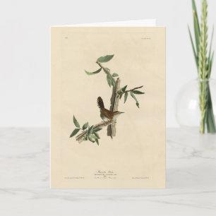 Bewick's Wren von Audubons Vögeln von Amerika Karte