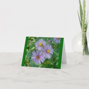 Bewölkt Lila Aster Notizkarte Karte