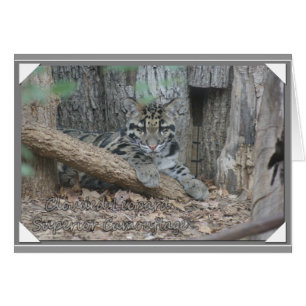 BEWÖLKTE LEOPARD-ÜBERLEGENE TARNUNG