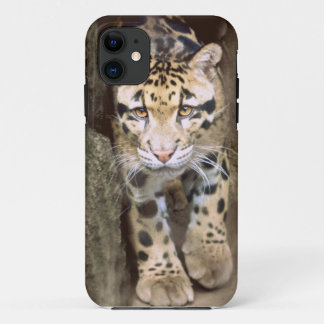Bewölkter Leopard iPhone 11 Hülle