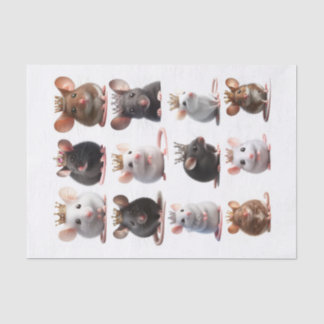 Bewundernswerte Prinzessin und Prinzessin Mäuse mi Seidenpapier