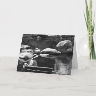 Bewunderung, große Brunnen Karte