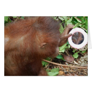 Bewunderungs-hallo herrlicher Selbst