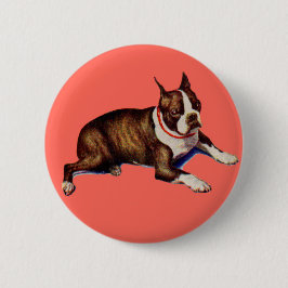bezaubernd Boston Terrier Button