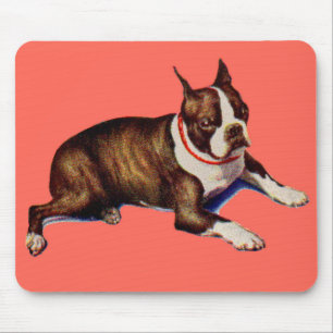 bezaubernd Boston Terrier Mousepad