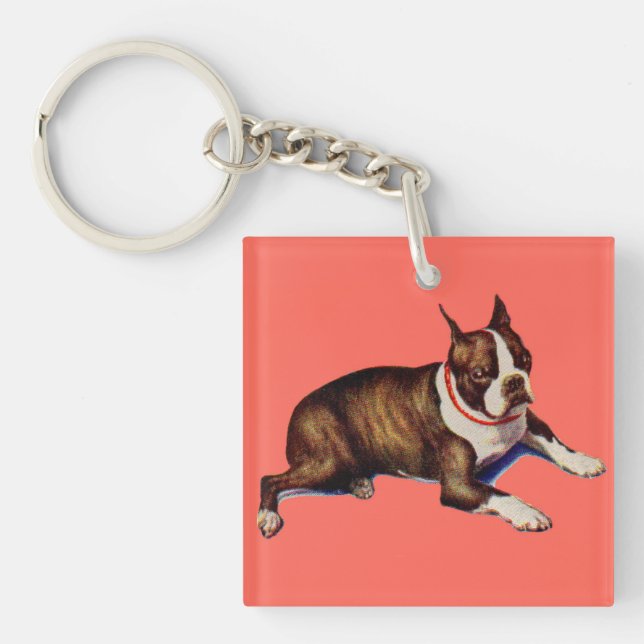 bezaubernd Boston Terrier Schlüsselanhänger (Vorderseite)