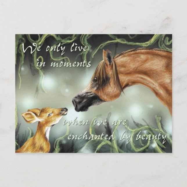 Bezaubernd von Schönheit Postkarte (Vorderseite)