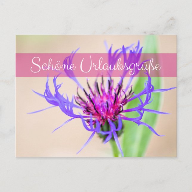 Bezaubernde Buchstaben aus dem Briefkasten Postkarte (Vorderseite)