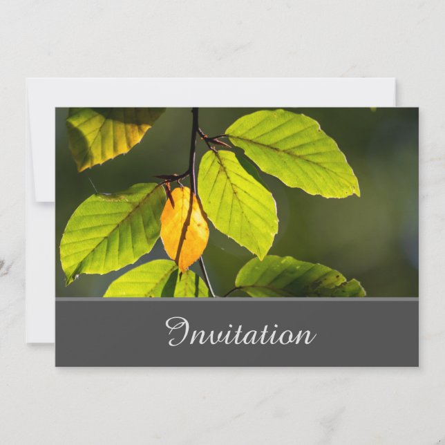 Bezaubernde Einladungskarte mit farbenfrohen Folia Einladung (Vorderseite)