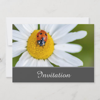 Bezaubernde Einladungskarte mit glücklicher Ladybu Einladung