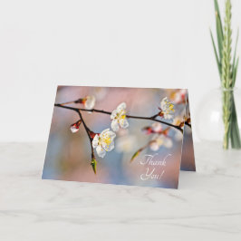 Bezaubernde japanische Apricot-Blume Dankeskarte