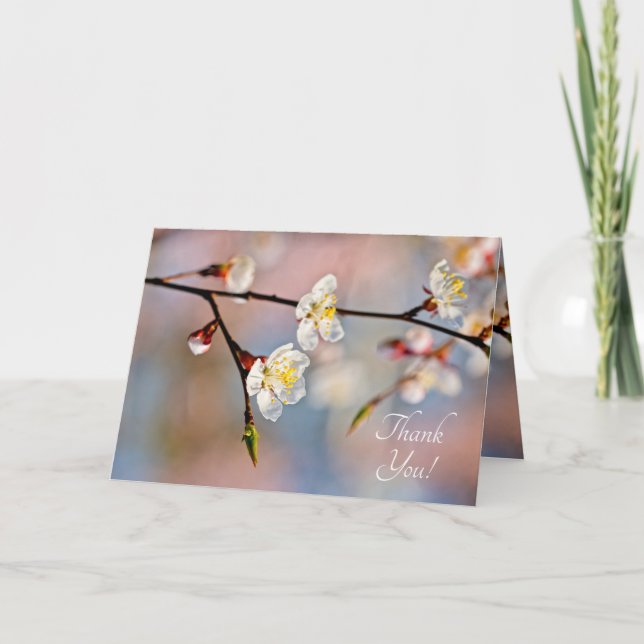 Bezaubernde japanische Apricot-Blume Dankeskarte (Vorderseite)