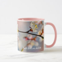 Bezaubernde japanische Apricot-Blume