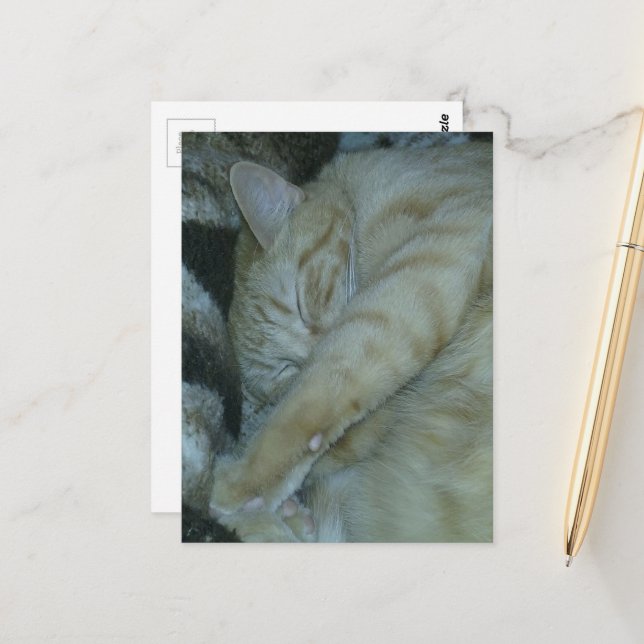bezaubernde rote Katze schlafend Postkarte (Vorderseite/Rückseite Beispiel)