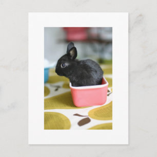 bezaubernde, sonnige Postkarte