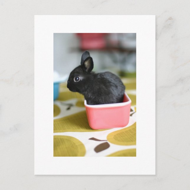 bezaubernde, sonnige Postkarte (Vorderseite)