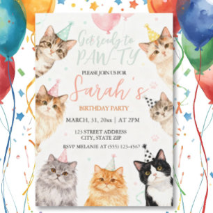 bezaubernder Cat Kindergeburtstag Einladung