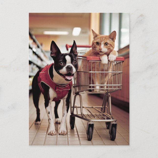Bezauberndes Boston Terrier und Katze kaufen Postkarte (Vorderseite)