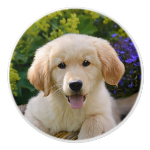 Bezauberndes Goldie Hundewelpen-Porträt, dekorati Keramikknauf
