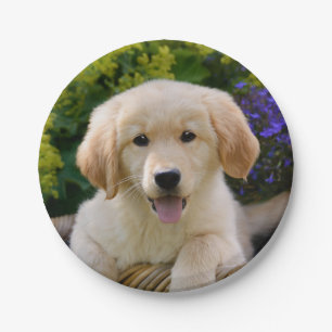 Bezauberndes Goldie Hundewelpen-Porträt, Party Pappteller