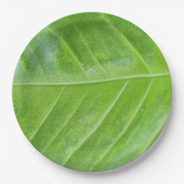 Bezauberndes, grünes Leaf-Design, 9-Zoll-Runde Pappteller