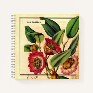 Bezauberndes Hongkonger Rose Spiral Notebook Notizbuch