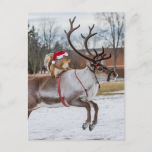 Bezauberndes Santa Eichhörnchen und Reittier Postkarte