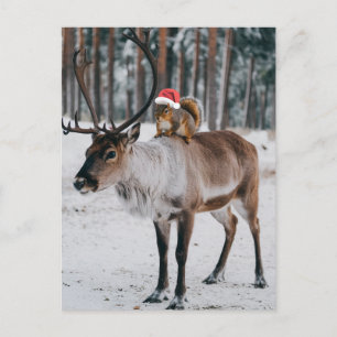 Bezauberndes Santa Eichhörnchen und Rentier Postkarte