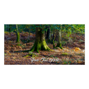 Bezauberte Waldlandschaft - glänzendes Poster