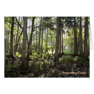 Bezauberter Wald, Fishewiese