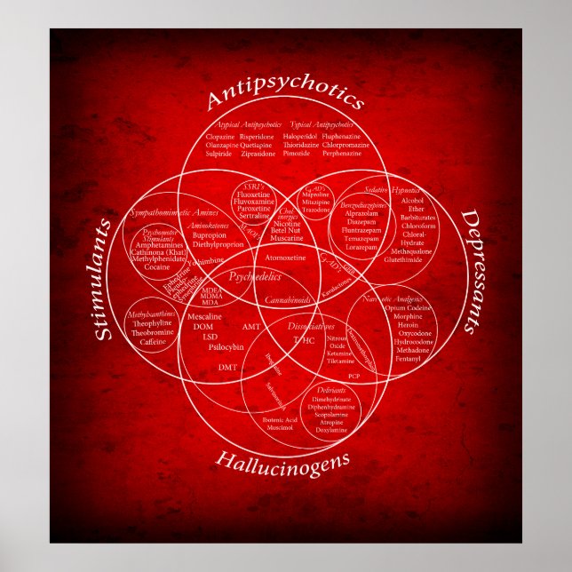 BEZIEHUNGEN VENN DIAGRAM POSTER (Vorne)