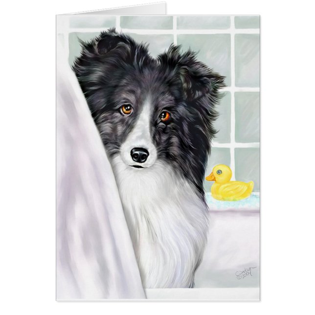 Bi Black Sheltie Bath (Vorne)