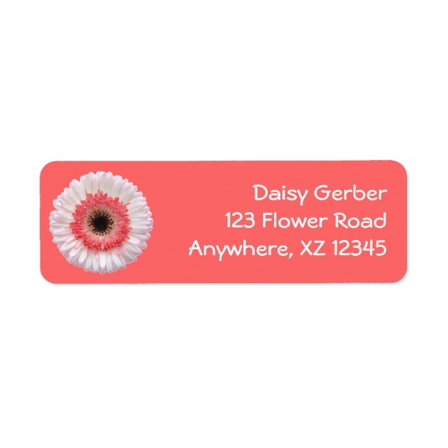 Bi-Color Gerber Daisy (Vorne)