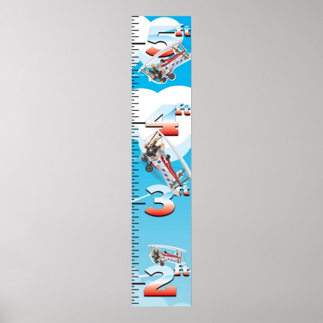 Bi-Flugzeug USA Growth Chart Poster (Vorne)