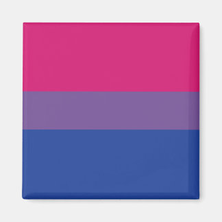Bi-Pride-Magnet Magnet