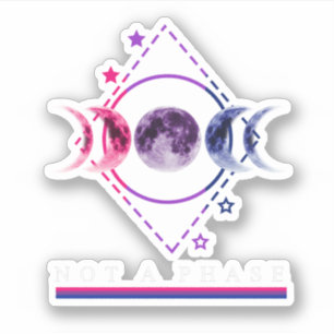 Bi-Pride-Shirt kein phasen-bisexuelles LGBT-Prix-M Aufkleber