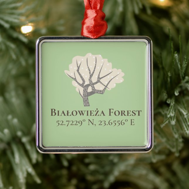Białowieża Forest Latitude & Longitude Ornament Aus Metall (Baum)