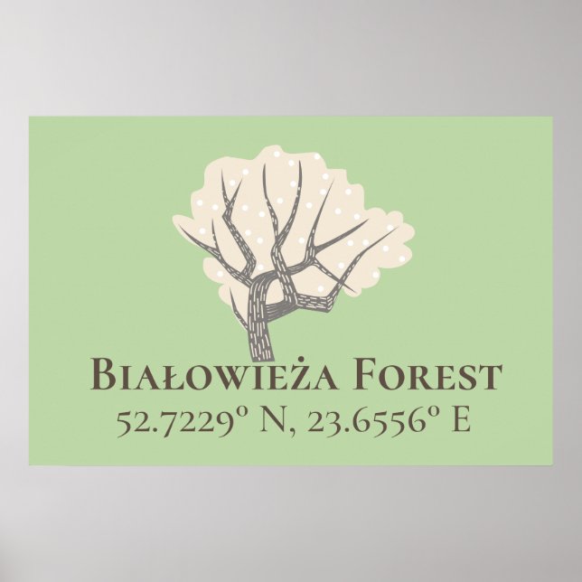 Białowieża Forest Latitude & Longitude Poster (Vorne)