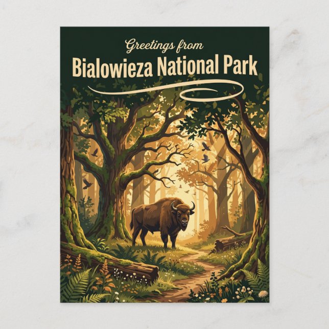 Białowieża Nationalpark Polen Postkarte (Vorderseite)