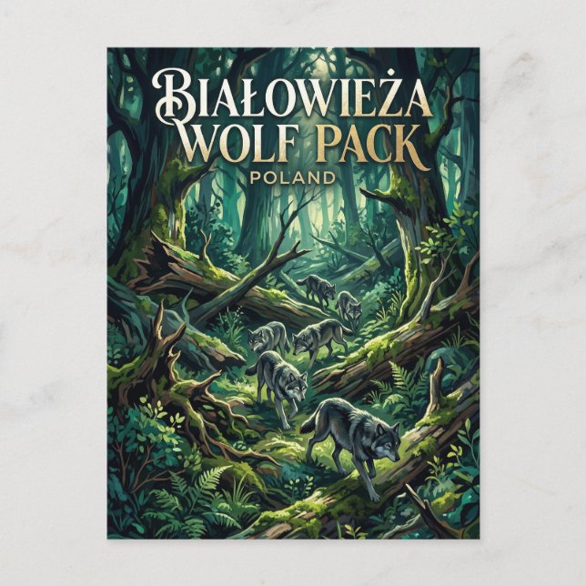Białowieża-Wald Polen Postkarte (Vorderseite)