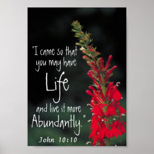 Bibel-Versermutigung John-10:10 Poster