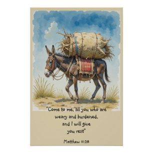 Bibelbibliotheksangebot Matt Poster