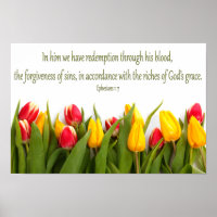 Bibelschrift Ephesianer 1: 7 Farbige Tulipen