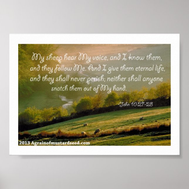 Bibelschrift Gebete Poster (Vorne)