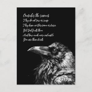 Bibelschrift Luke 12:24 Postkarte