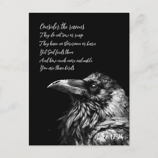 Bibelschrift Luke 12:24 Postkarte (Vorderseite)