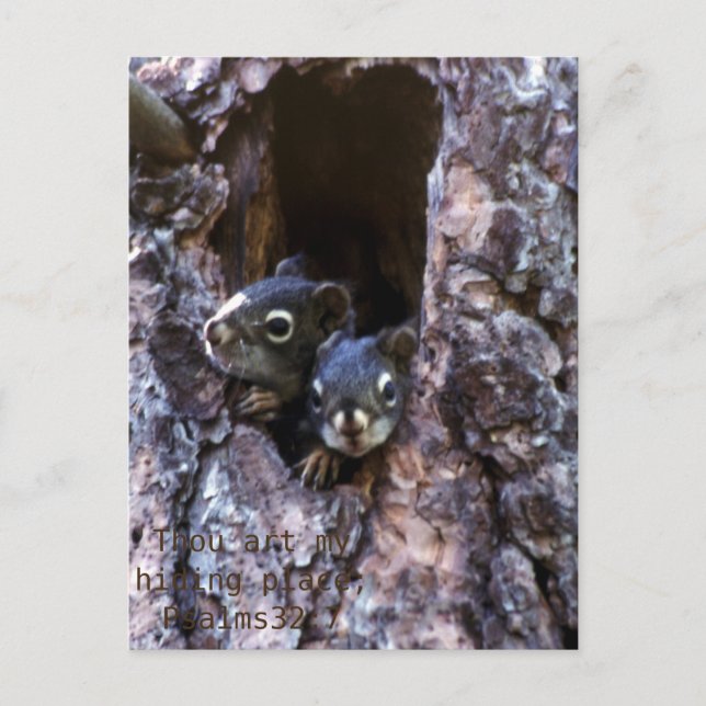 Bibelschrift Postkarte (Vorderseite)