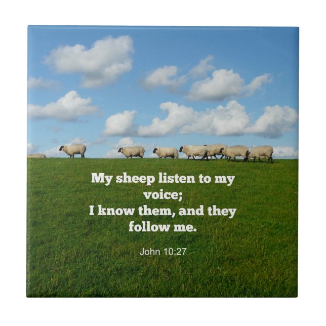 Bibelverse, John 10:27, Fliese (Vorderseite)