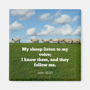 Bibelverse, John 10:27, Magnet