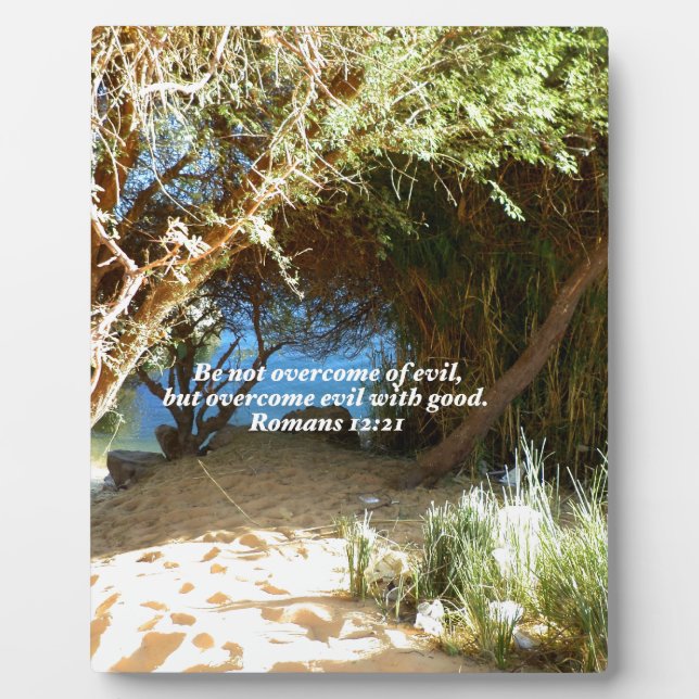 Bibelverse Liebe Zitat Sprichwort Römer 12:21 Fotoplatte (Vorderseite)